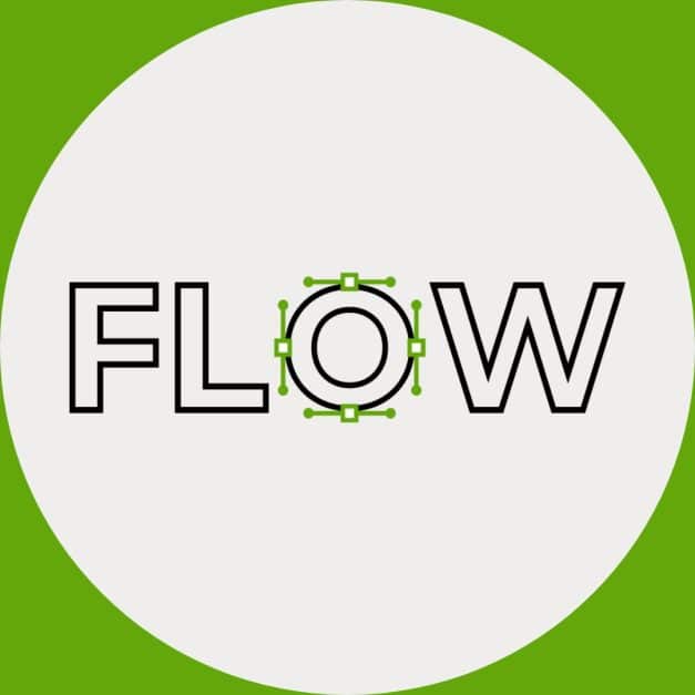 FLOW Career Framework